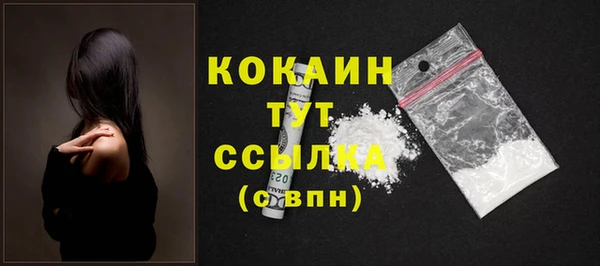 прущие грибы Дмитриев