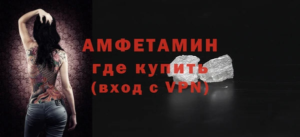 прущие грибы Дмитриев