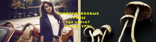 таблы Гусиноозёрск
