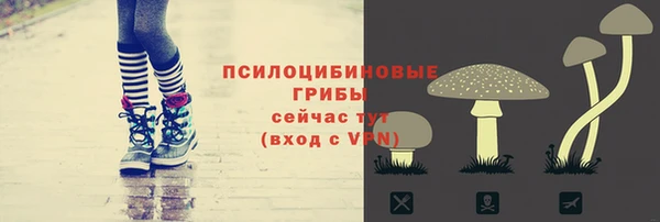 тгк Гусь-Хрустальный